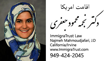 lawyer
law
immigration lawyer