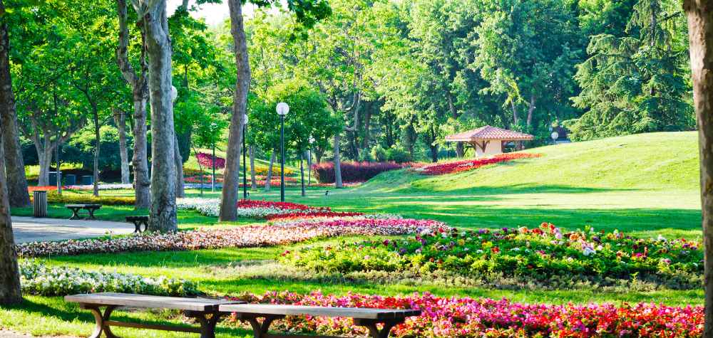 Go to a Botanical Garden: Discover the Beauty of Nature